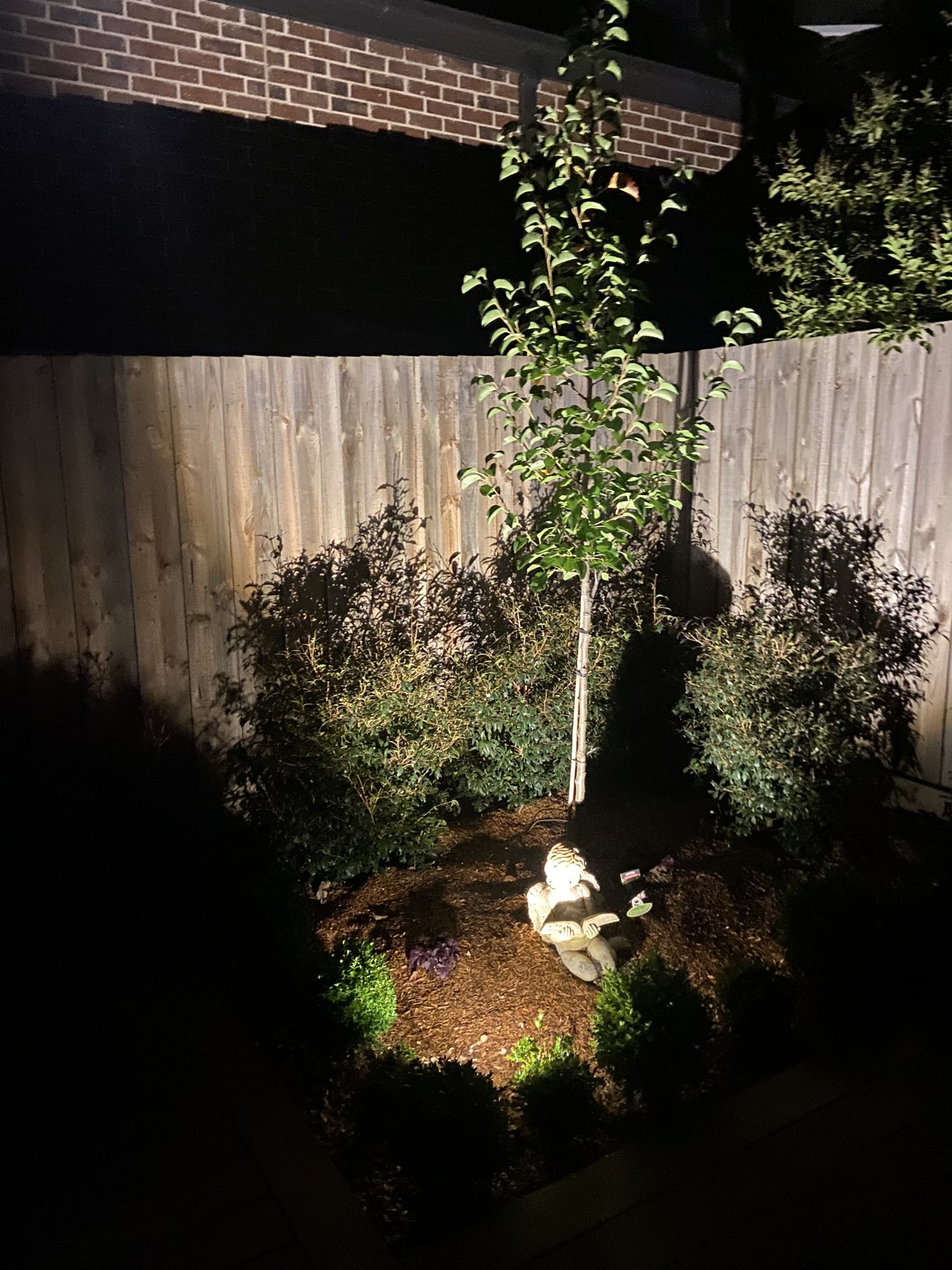 Garden tree and landscape lighting at night